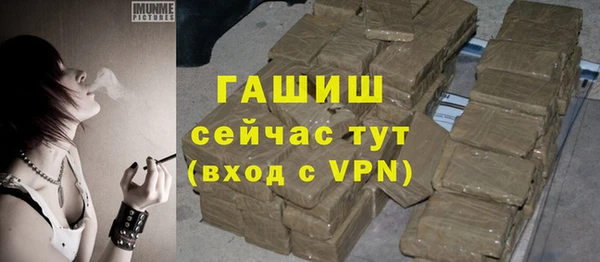 хмурый Абаза