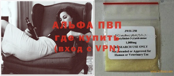 хмурый Абаза