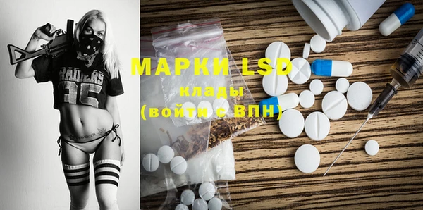 хмурый Абаза