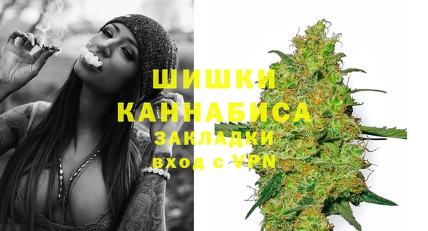 хмурый Абаза