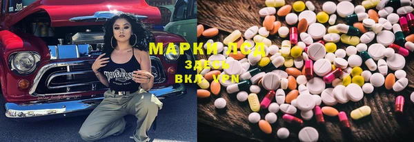 хмурый Абаза